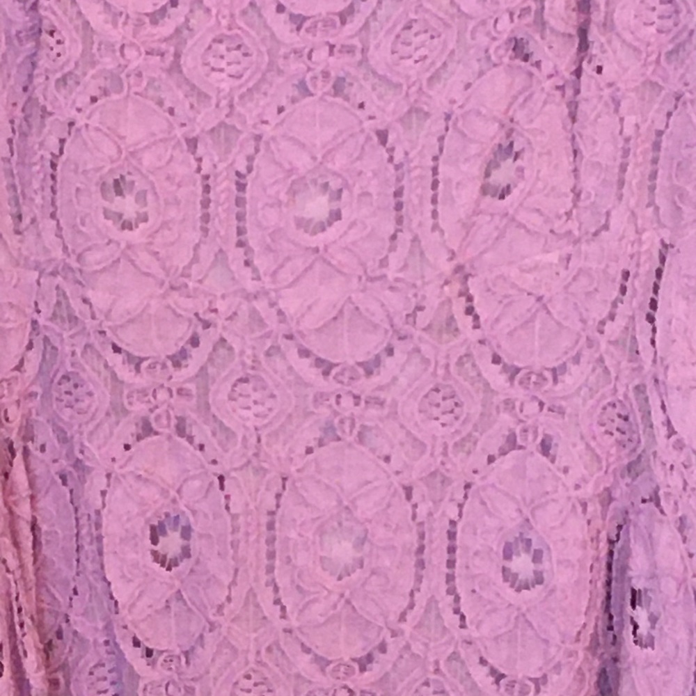BB Dakota lavender lace skater dress . Worn twice - Picture 4 of 6